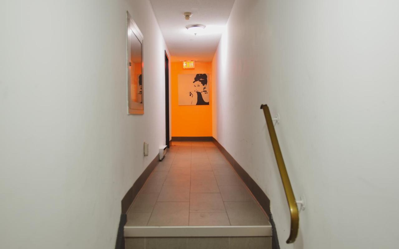 فندق Kensington College Backpackers تورونتو المظهر الخارجي الصورة